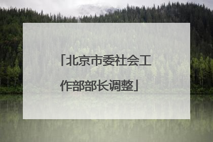 北京市委社会工作部部长调整