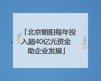 北京朝阳每年投入超40亿元资金助企业发展