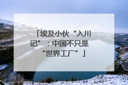 埃及小伙“入川记”：中国不只是“世界工厂”