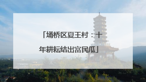 埇桥区夏王村：十年耕耘结出富民瓜