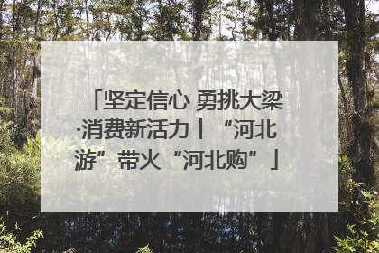 坚定信心 勇挑大梁·消费新活力丨“河北游”带火“河北购”