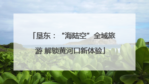 垦东：“海陆空”全域旅游 解锁黄河口新体验