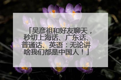 吴彦祖和好友聊天，秒切上海话、广东话、普通话、英语：无论讲啥我们都是中国人！