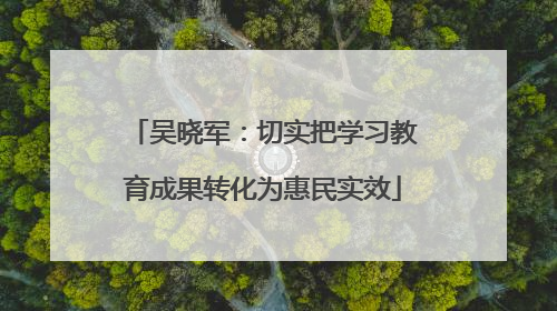 吴晓军：切实把学习教育成果转化为惠民实效
