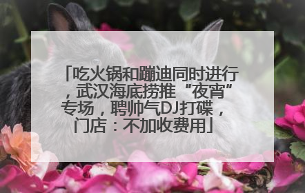 吃火锅和蹦迪同时进行，武汉海底捞推“夜宵”专场，聘帅气DJ打碟，门店：不加收费用