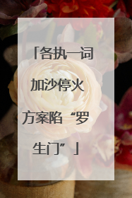 各执一词 加沙停火方案陷“罗生门”