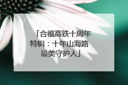 合福高铁十周年特辑：十年山海路 最美守护人