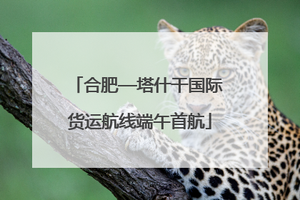 合肥—塔什干国际货运航线端午首航