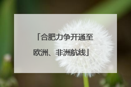 合肥力争开通至欧洲、非洲航线