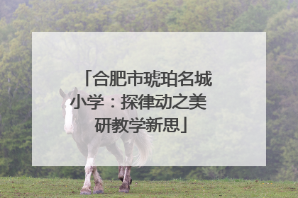 合肥市琥珀名城小学：探律动之美 研教学新思