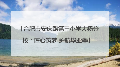 合肥市安庆路第三小学大杨分校：匠心筑梦 护航毕业季