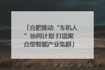 合肥推动“车机人”协同计划 打造聚合型智能产业集群