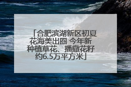 合肥滨湖新区初夏花海美出圈 今年新种植草花、播撒花籽约6.5万平方米
