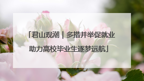 君山观潮｜多措并举促就业 助力高校毕业生逐梦远航