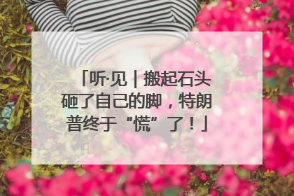听·见｜搬起石头砸了自己的脚，特朗普终于“慌”了！