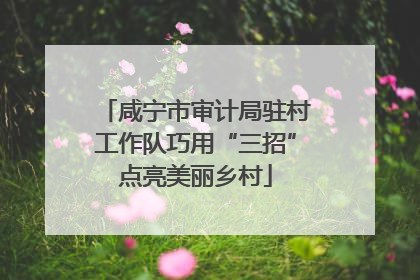 咸宁市审计局驻村工作队巧用“三招”点亮美丽乡村