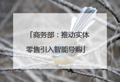 商务部：推动实体零售引入智能导购