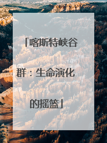 喀斯特峡谷群：生命演化的摇篮