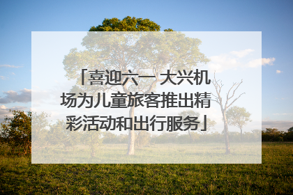 喜迎六一 大兴机场为儿童旅客推出精彩活动和出行服务