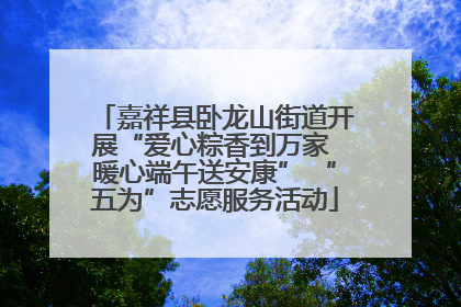 嘉祥县卧龙山街道开展“爱心粽香到万家 暖心端午送安康” “五为”志愿服务活动