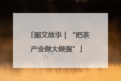 图文故事｜“把茶产业做大做强”