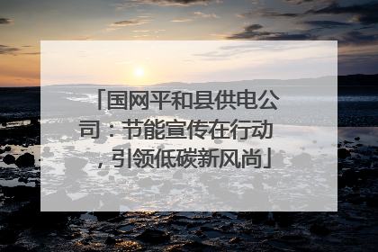 国网平和县供电公司：节能宣传在行动，引领低碳新风尚