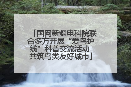 国网新疆电科院联合多方开展“爱鸟护线”科普交流活动 共筑鸟类友好城市