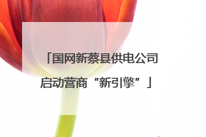 国网新蔡县供电公司启动营商“新引擎”