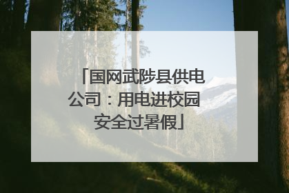 国网武陟县供电公司：用电进校园  安全过暑假
