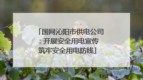 国网沁阳市供电公司：开展安全用电宣传 筑牢安全用电防线
