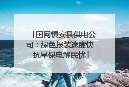 国网镇安县供电公司：绿色报装速度快 抗旱保电解民忧