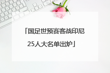 国足世预赛客战印尼25人大名单出炉