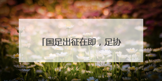 国足出征在即，足协主席雨中观看训练为球队打气，王钰栋期待全力冲击印尼队