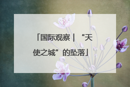 国际观察｜“天使之城”的坠落