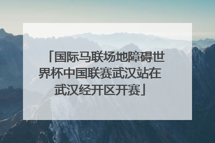 国际马联场地障碍世界杯中国联赛武汉站在武汉经开区开赛