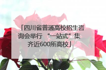 四川省普通高校招生咨询会举行 “一站式”集齐近600所高校