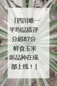 四川唯一平均品质评分超87分 鲜食玉米新品种在成都上线！