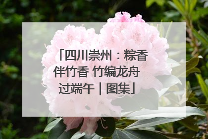 四川崇州：粽香伴竹香 竹编龙舟过端午｜图集