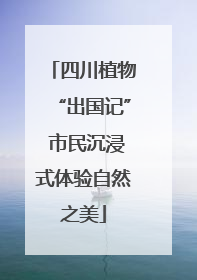 四川植物“出国记” 市民沉浸式体验自然之美