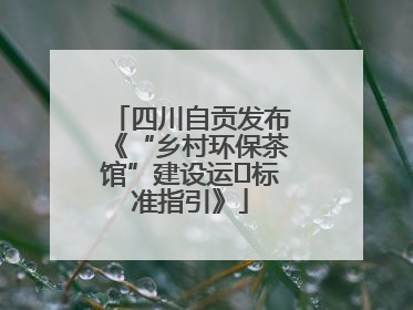 四川自贡发布《“乡村环保茶馆”建设运⾏标准指引》