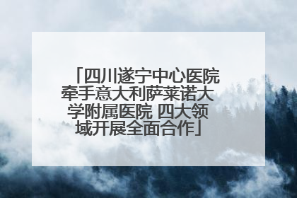 四川遂宁中心医院牵手意大利萨莱诺大学附属医院 四大领域开展全面合作