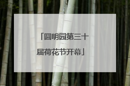 圆明园第三十届荷花节开幕