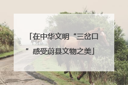 在中华文明“三岔口”感受蔚县文物之美
