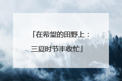 在希望的田野上：三夏时节丰收忙