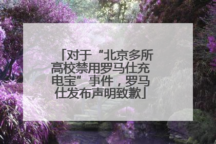 对于“北京多所高校禁用罗马仕充电宝”事件，罗马仕发布声明致歉