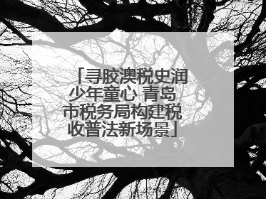 寻胶澳税史润少年童心 青岛市税务局构建税收普法新场景
