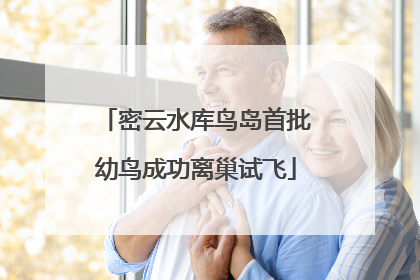 密云水库鸟岛首批幼鸟成功离巢试飞