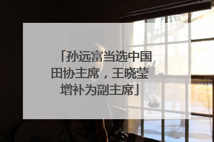 孙远富当选中国田协主席，王晓莹增补为副主席