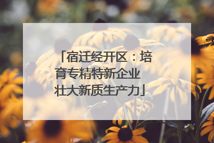 宿迁经开区：培育专精特新企业 壮大新质生产力