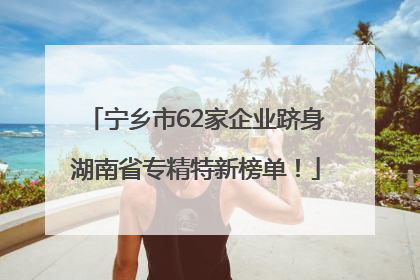 宁乡市62家企业跻身湖南省专精特新榜单！